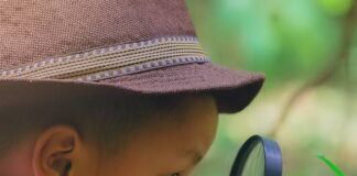 How AI Can Revolutionize Education According to UNESCO